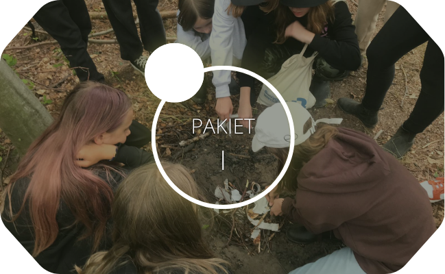 Pakiet1