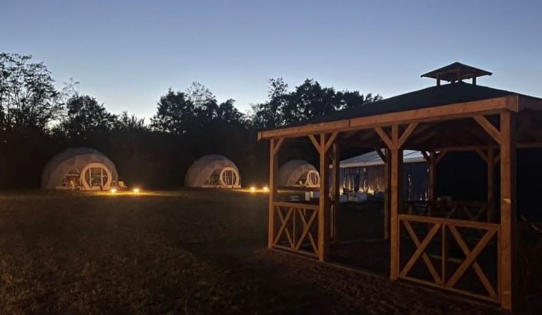 Forest Camp Eventy
